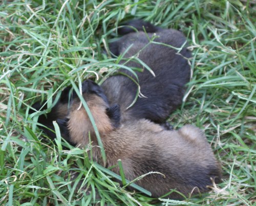 1st day out 7
