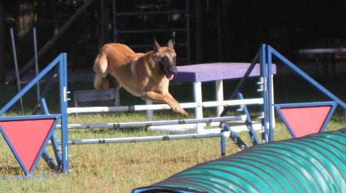 jump